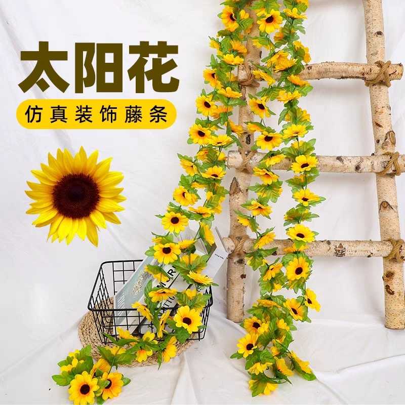 无法加载图片